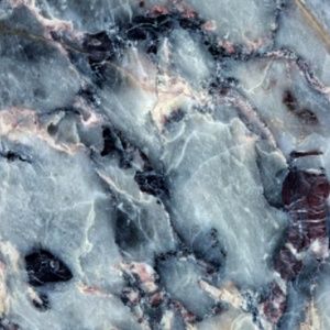 Meet your Posher, Haydn